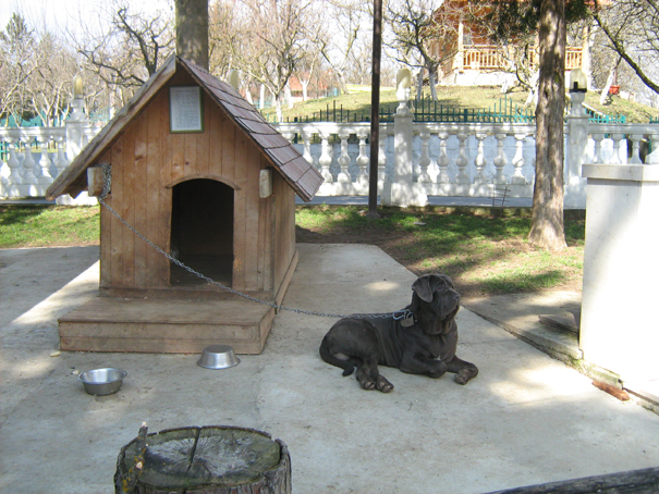 Cuvarkuca, Jezevica, mart 2009 b A.jpg
